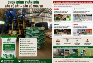 Phân Hữu Cơ HP2 của DP VINA GREEN giúp cải tạo đất, tăng độ tơi xốp, phát triển bộ rễ và hỗ trợ cây trồng sinh trưởng bền vững. Nguồn gốc rõ ràng, công nghệ Đức.