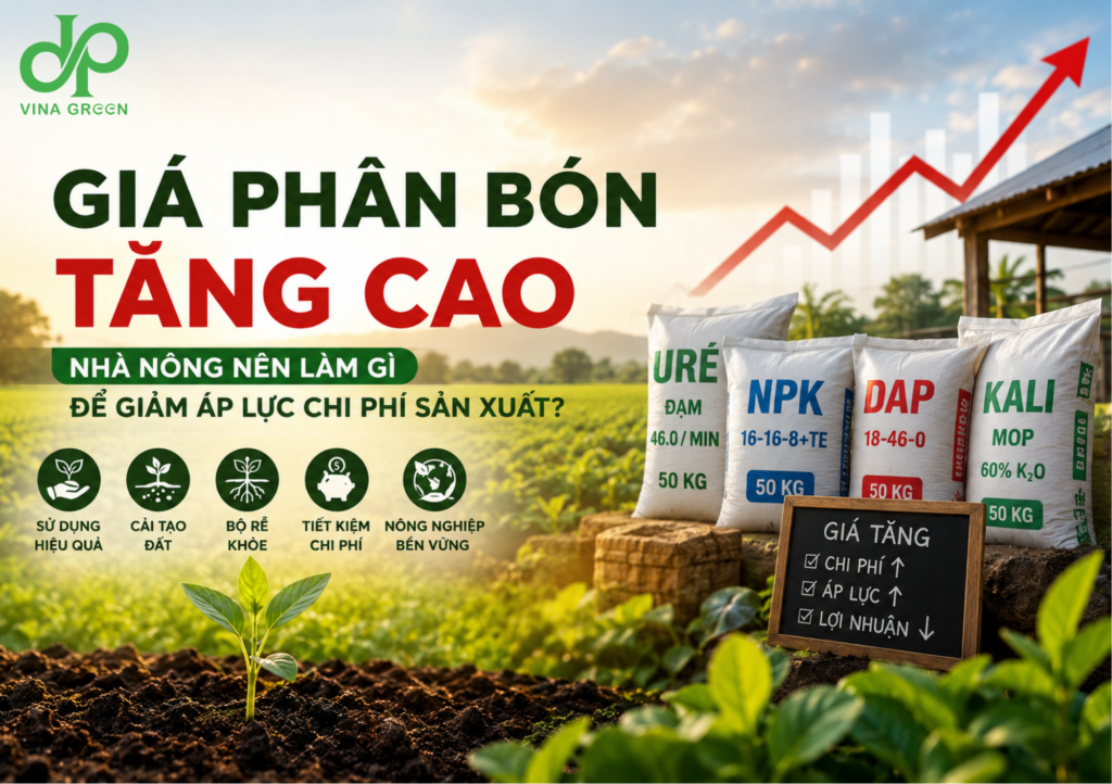Giá Phân Bón Tăng Cao 2026: Giải Pháp Giảm Chi Phí Và Nâng Cao Hiệu Quả Canh Tác