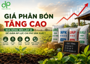 Giá Phân Bón Tăng Cao 2026: Giải Pháp Giảm Chi Phí Và Nâng Cao Hiệu Quả Canh Tác